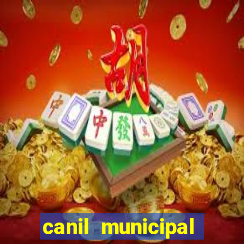 canil municipal porto alegre